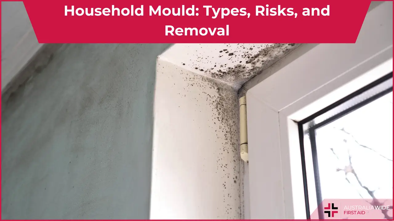 Mould article header